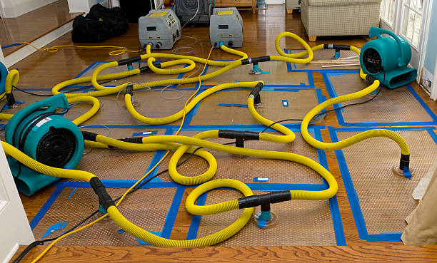 Professional Storm Water Damage Restoration technician working in Shelton, WA
